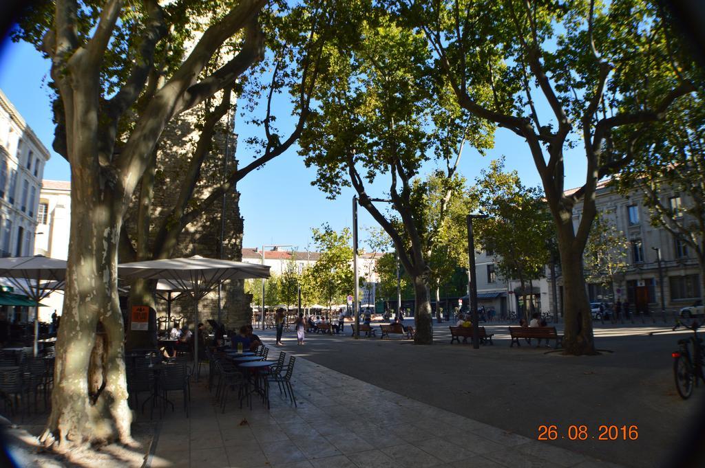 Hyper Centre D'Avignon 아파트 외부 사진